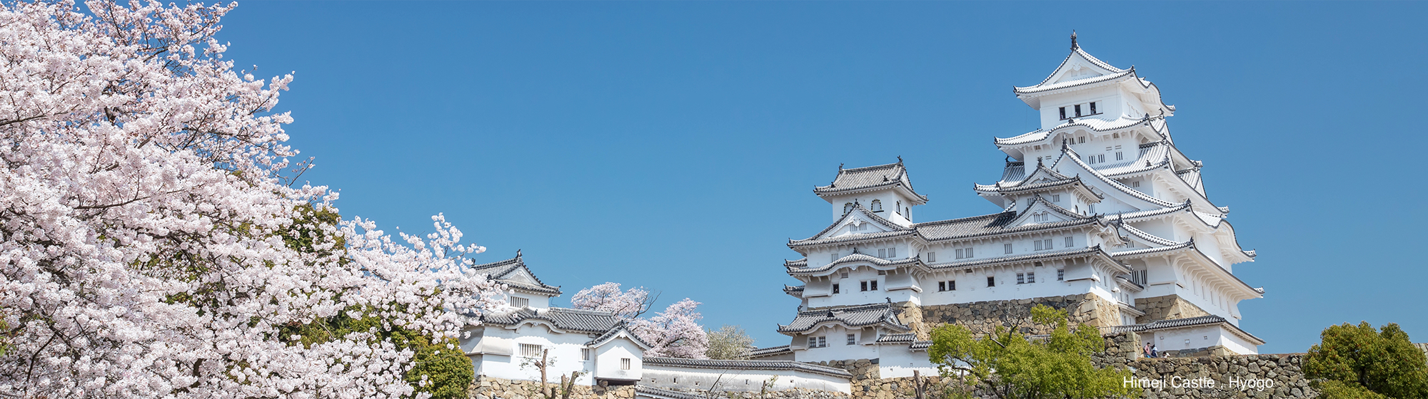 Himeji Castle , Hyogo