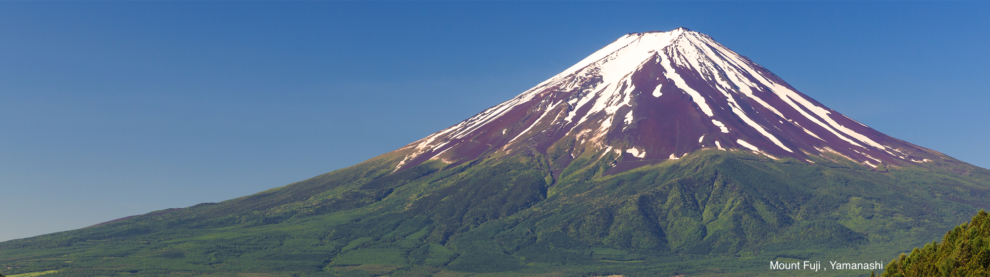 Mount Fuji , Yamanashi